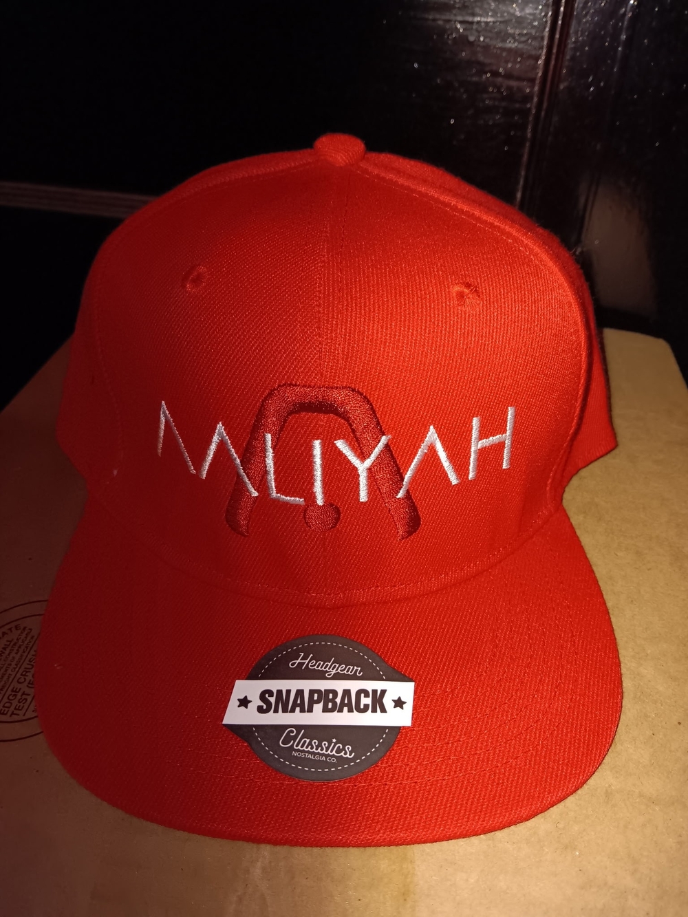 Aaliyah Red Embroidered Snapback Hat